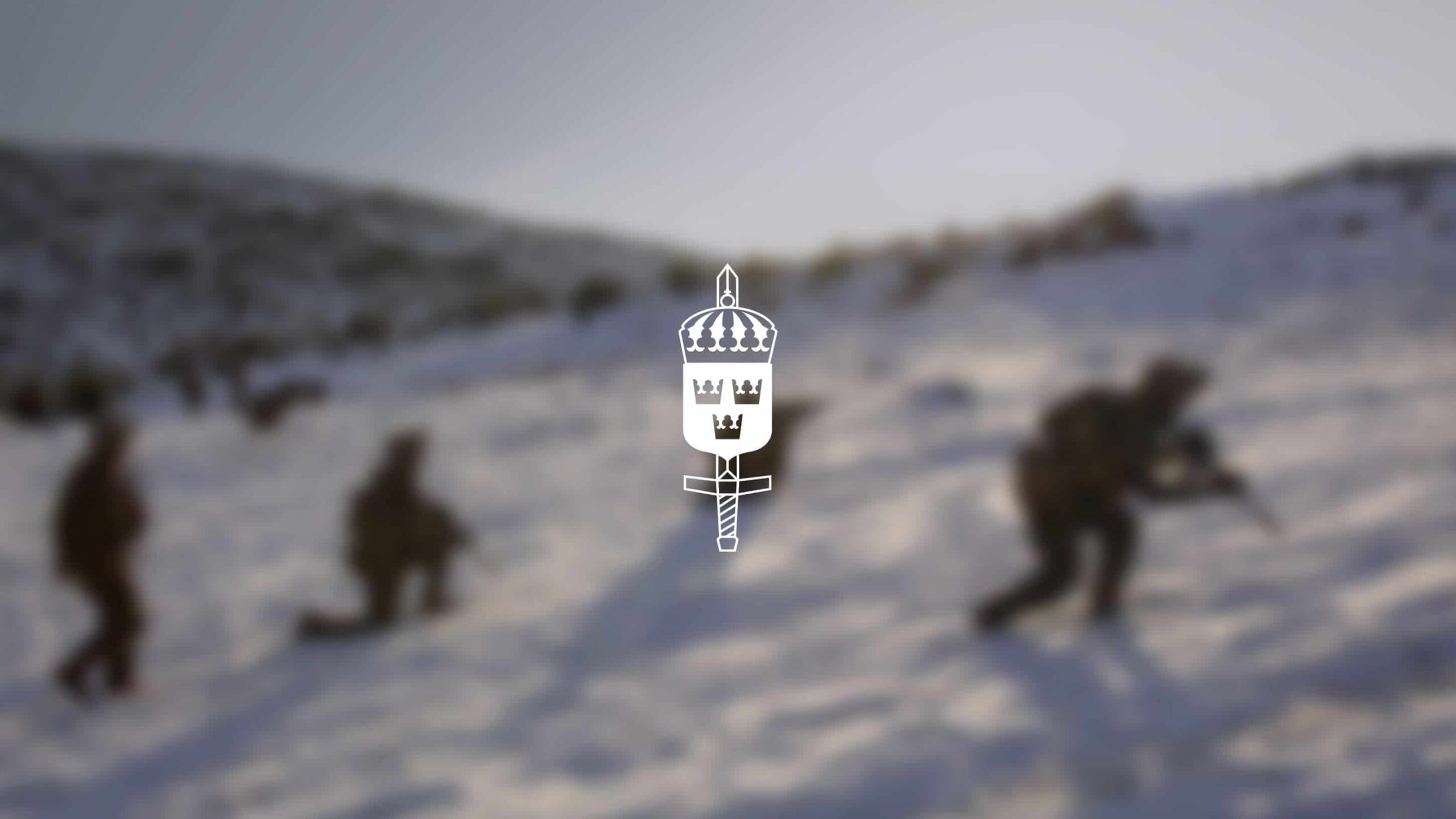 200609-swedish-armed-forces-co-branded-article-image-scaled