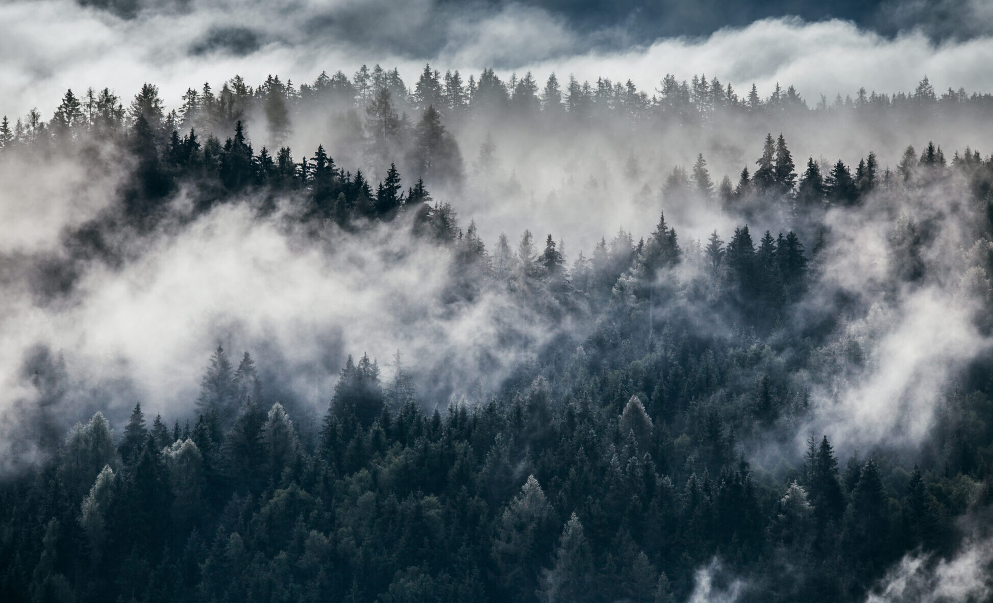 AdobeStock_288654236