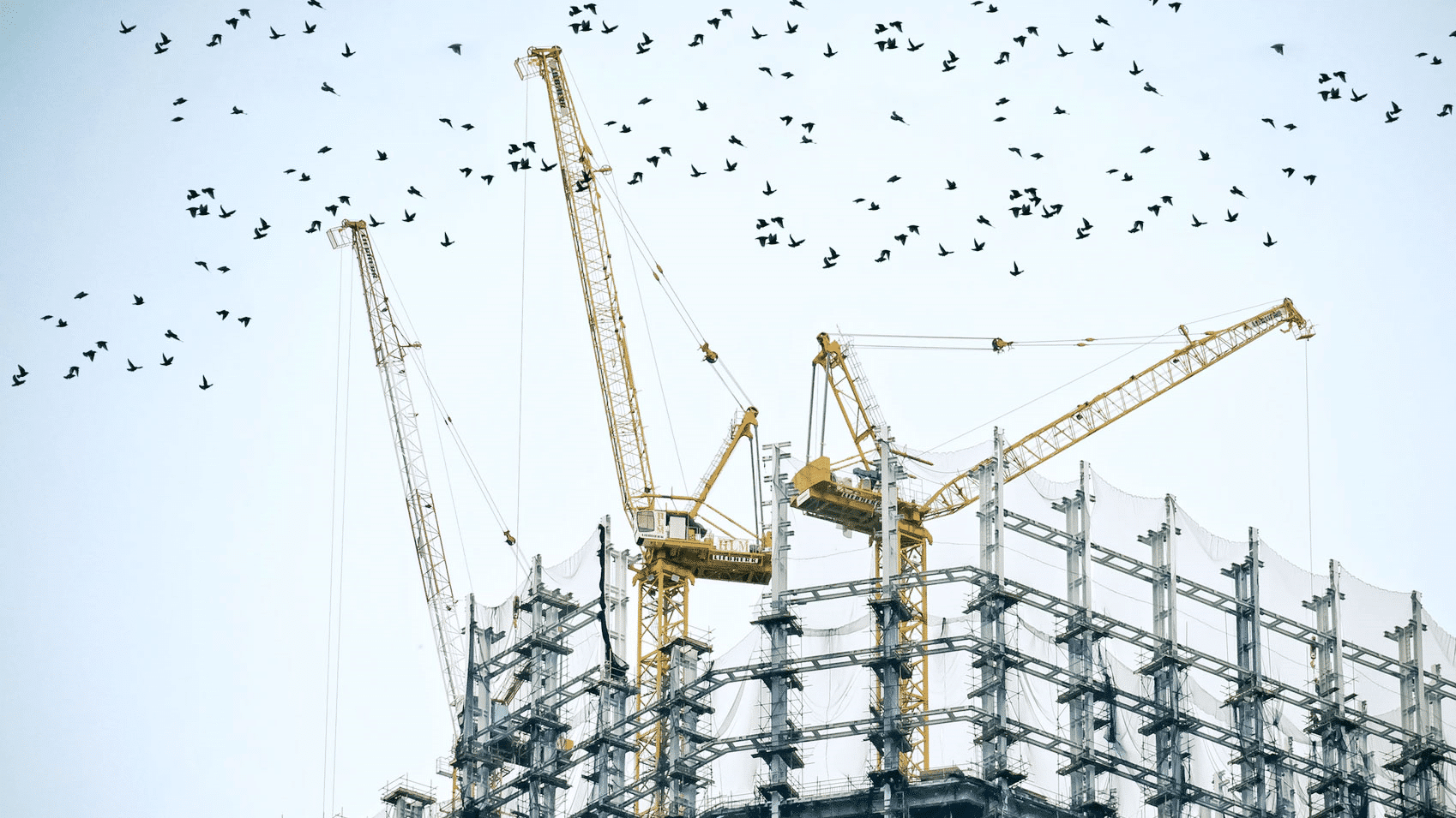 cranes